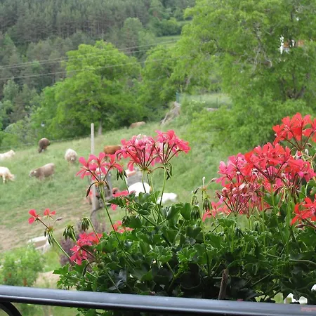 Casa Muro Ordesa Apartament