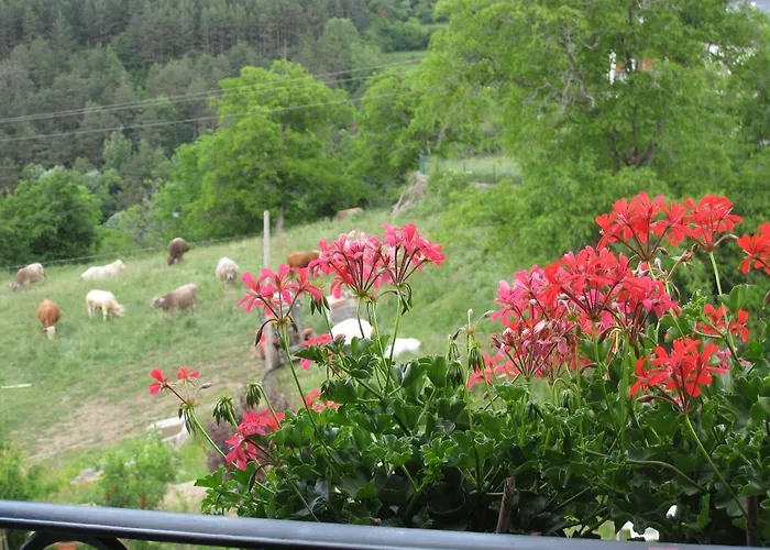 Casa Muro Ordesa Daire