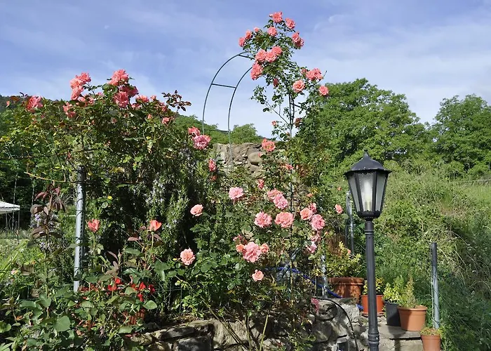 Daire Casa Muro Ordesa Frajén