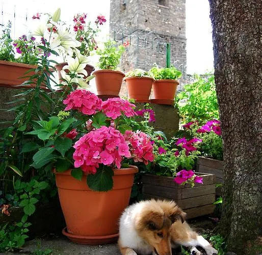 Apartmán Casa Muro Ordesa